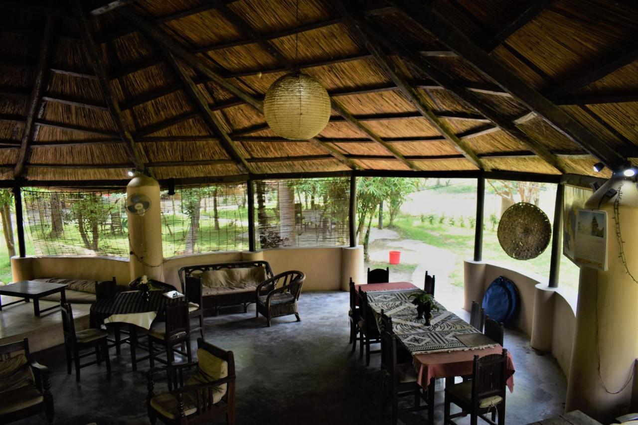 Mango Tree Lodge Bardiya Luaran gambar